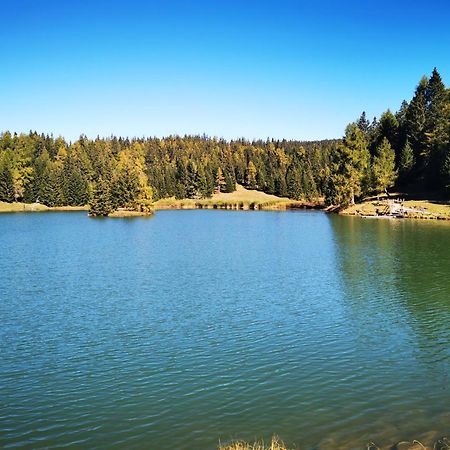 Вилла Dolomiti Di Brenta Ронцоне Номер фото