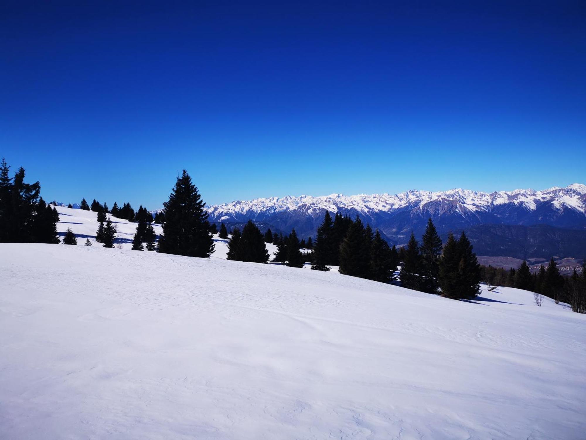 Вилла Dolomiti Di Brenta Ронцоне Номер фото