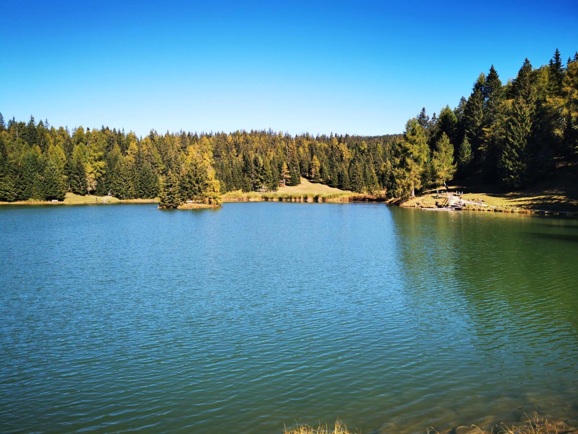 Вилла Dolomiti Di Brenta Ронцоне Номер фото