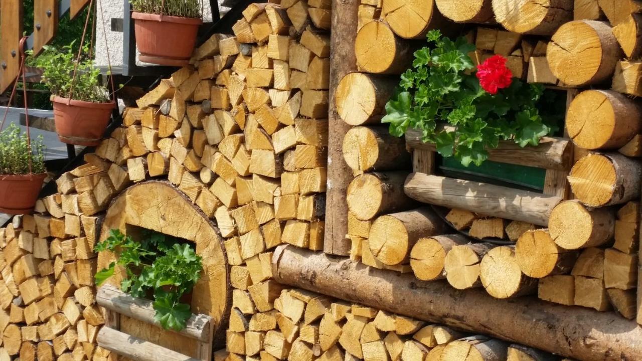Вилла Dolomiti Di Brenta Ронцоне Экстерьер фото