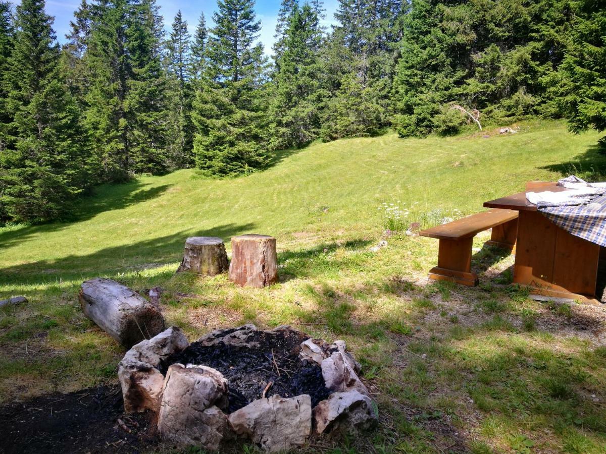 Вилла Dolomiti Di Brenta Ронцоне Экстерьер фото